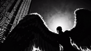 Angelrip